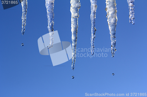 Image of Icicles Melting 