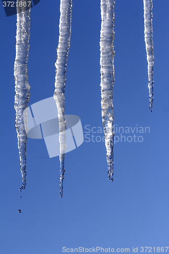 Image of Icicles Melting 