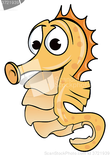 Image of Seahorse drawing