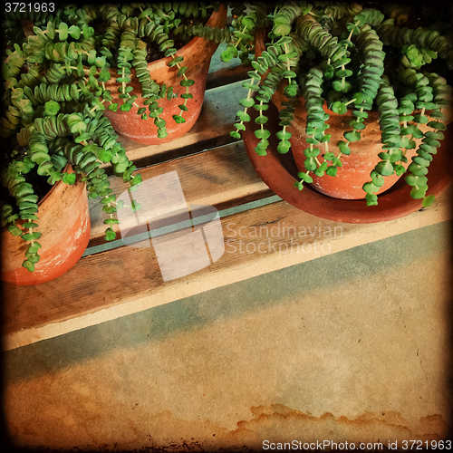 Image of Green plants vintage style