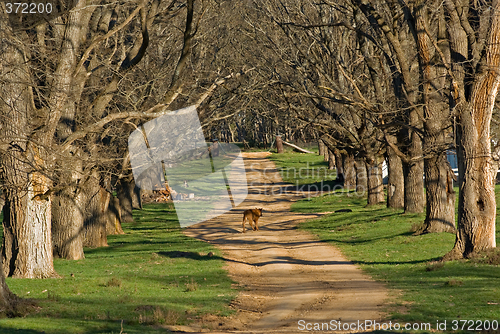 Image of walking along