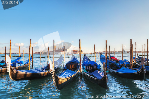 Image of Gondolas floating in the Grand Canal