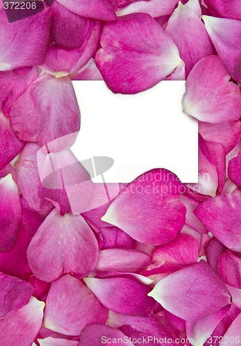 Image of rose petals with card