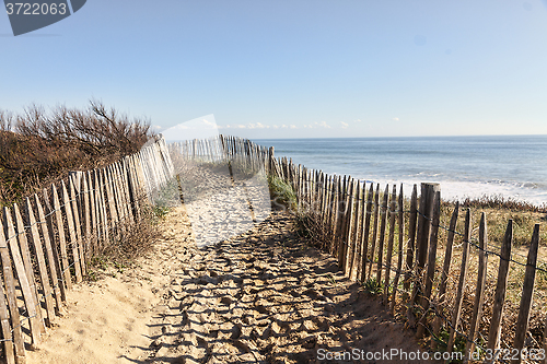 Image of Footpath on the Atlantic Dune in Brittany