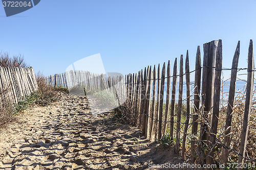 Image of Footpath on the Atlantic Dune in Brittany
