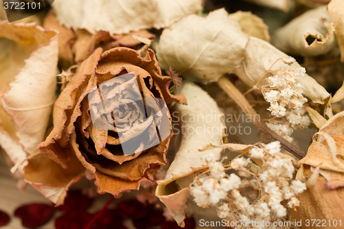 Image of bouquet of dried roses with leaves