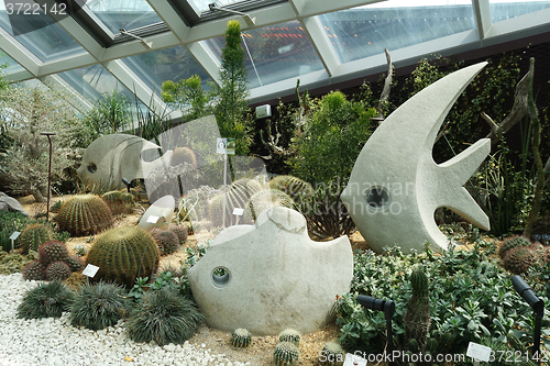 Image of Cactus in a dome