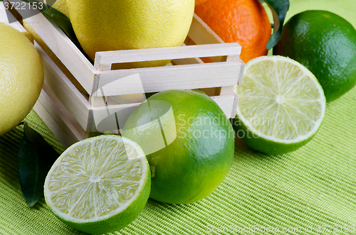 Image of Various Citrus Fruits