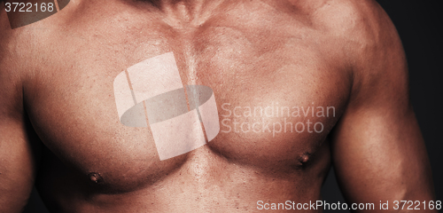 Image of Muscular body