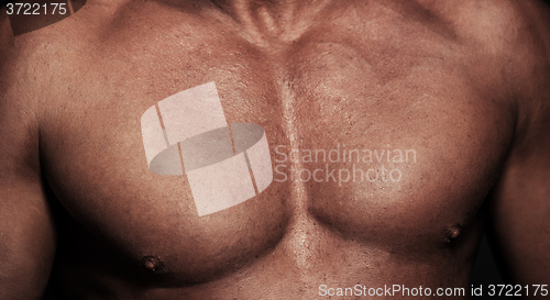 Image of Muscular body