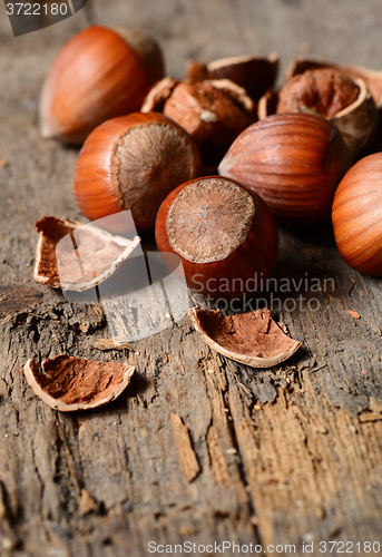 Image of Whole brown hazelnuts