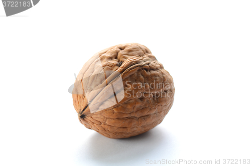 Image of Single walnut on a white background