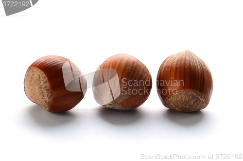 Image of Whole brown hazelnuts
