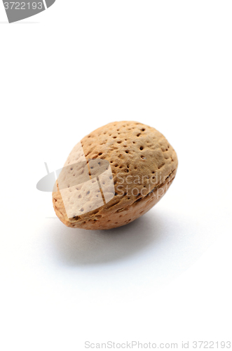 Image of Raw almonds with shell