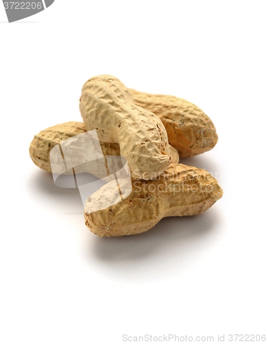 Image of Dried peanuts  in shells