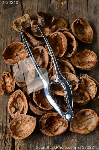 Image of empty walnut shells 