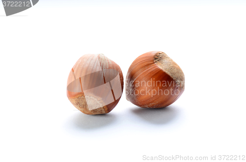 Image of Whole brown hazelnuts