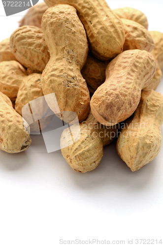 Image of Dried peanuts  in shells