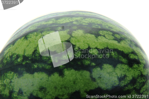 Image of green melon isolated