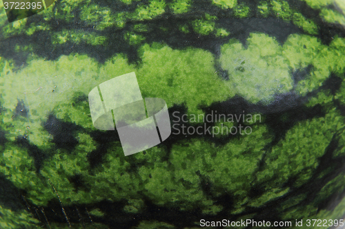 Image of green melon background