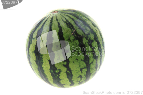 Image of green melon isolated
