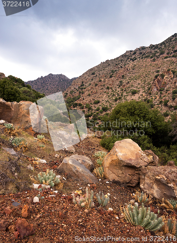 Image of Autumn landscape. Nisyros, Greek island