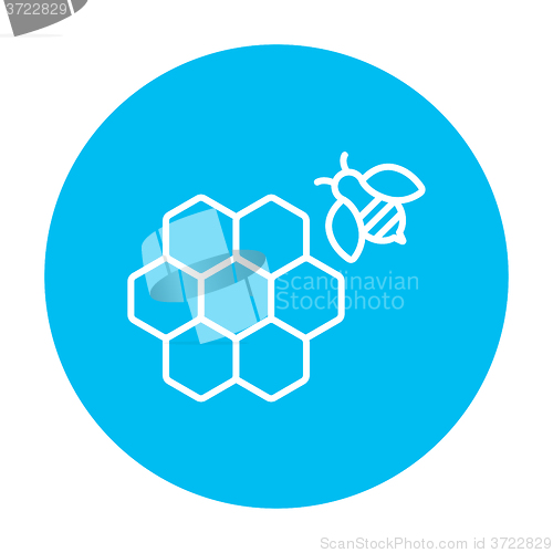 Image of Honeycomb and bee line icon.