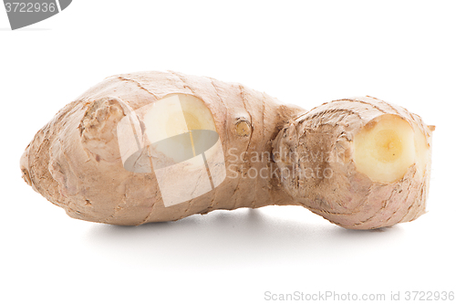 Image of Ginger root on white