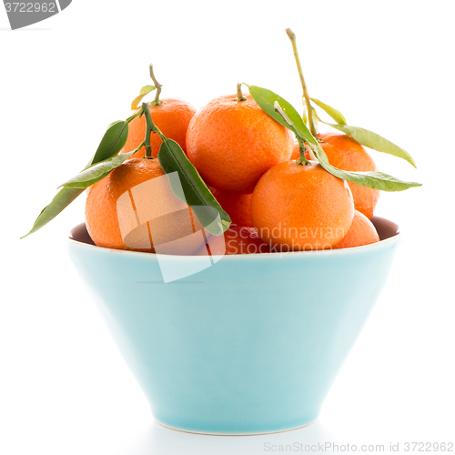 Image of Tangerines on ceramic blue bowl 