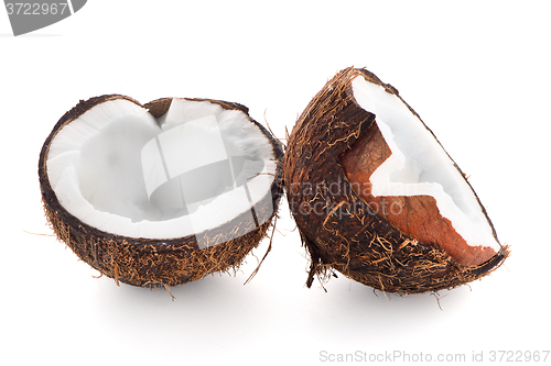 Image of Coconut