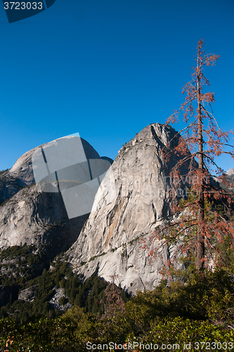 Image of Hiking panaramic train in Yosemite