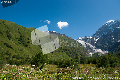 Image of Georgia mountain