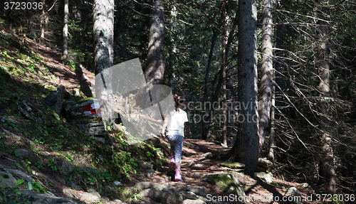 Image of Girl in a forest