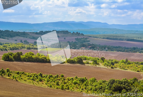 Image of Plowed Fields