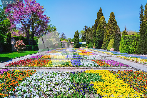 Image of Different Kinds of Flowers
