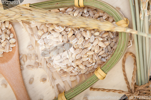 Image of organic wheat grains 