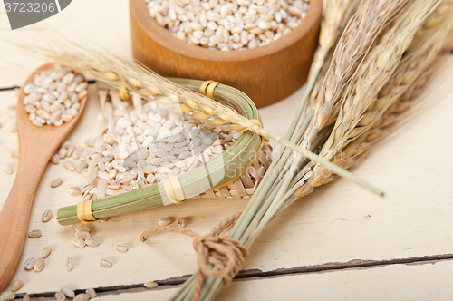 Image of organic wheat grains 