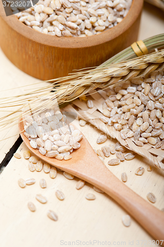 Image of organic wheat grains 