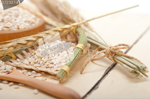 Image of organic wheat grains 