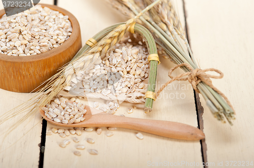 Image of organic barley grains