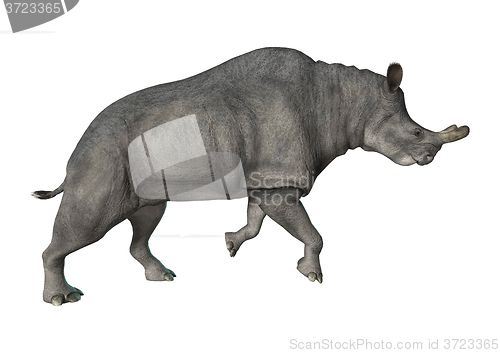 Image of Brontotherium or Thunder Beast