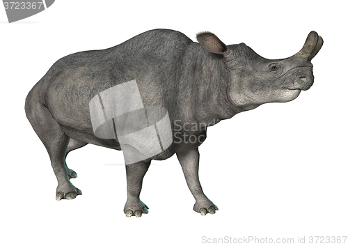 Image of Brontotherium or Thunder Beast