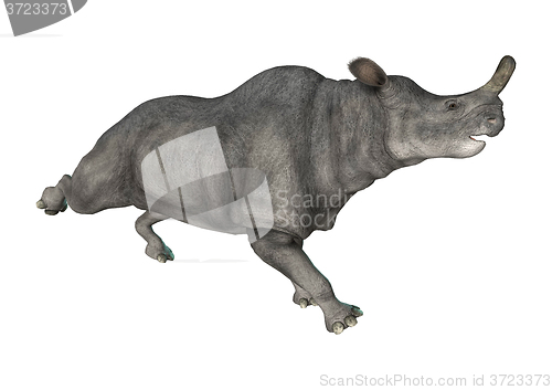 Image of Brontotherium or Thunder Beast