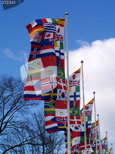 Image of international flags