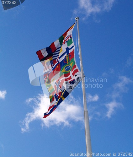 Image of international flag