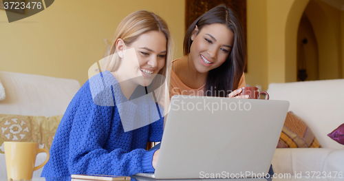 Image of Two happy young women browsing the internet