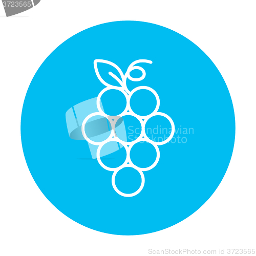 Image of Bunch of grapes line icon.