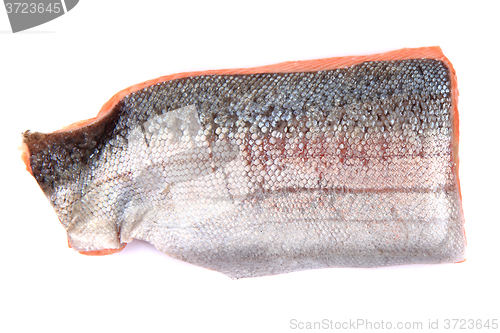 Image of salmon fish fillet isolated