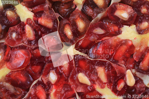 Image of pomegranate background