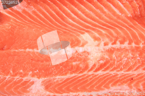 Image of salmon fish meat texture